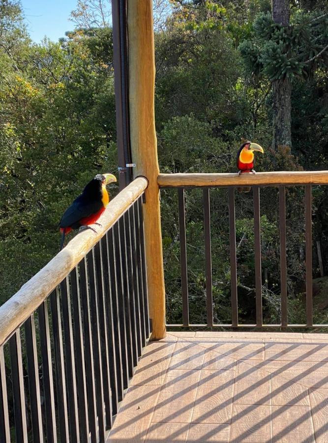 Campos do Jordão Casa Bela Vista 빌라 외부 사진